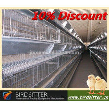 Cage de filet de filet de poulet automatique professionnelle à usage professionnel pour oiseau